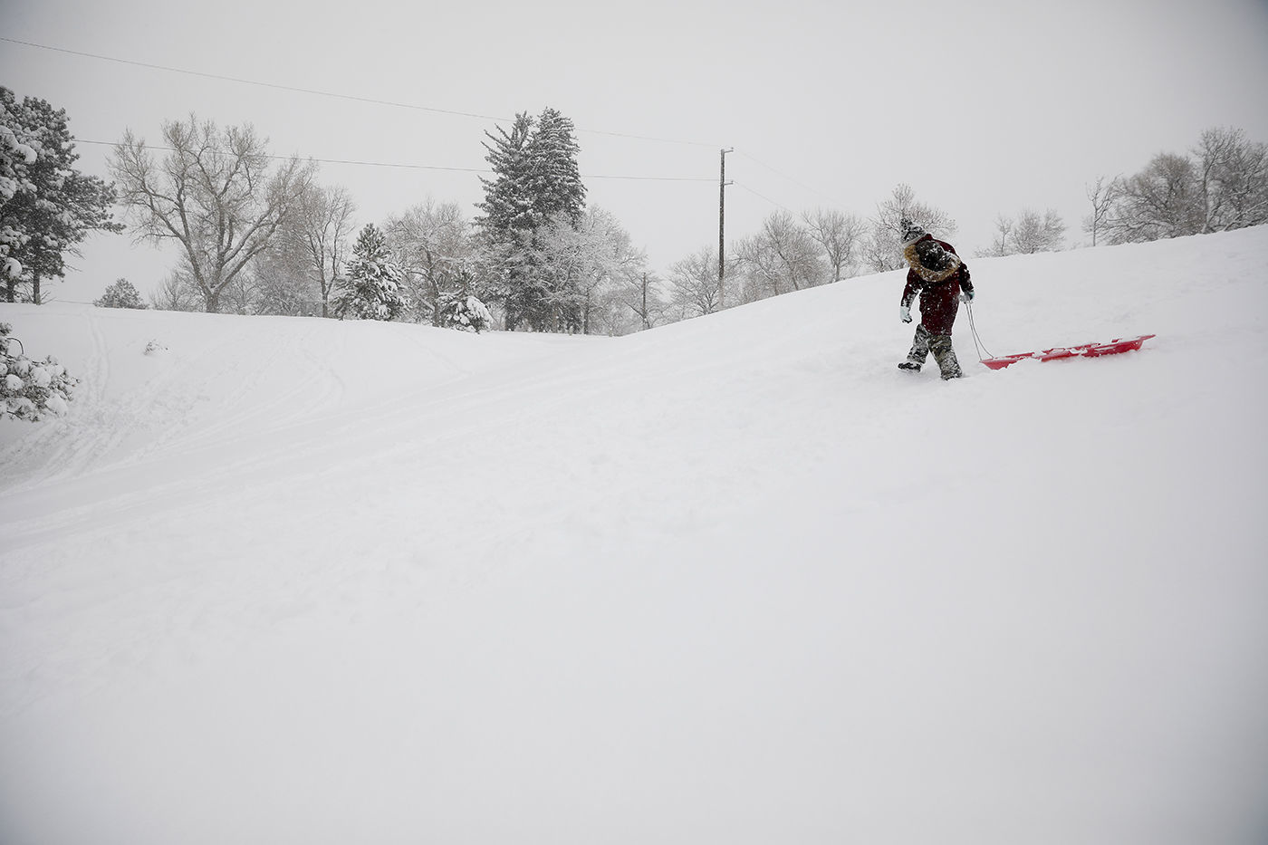 Winter Storm